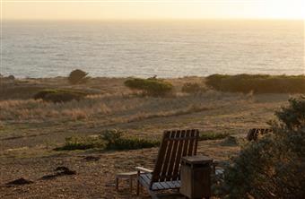 The Winter Renewal Special