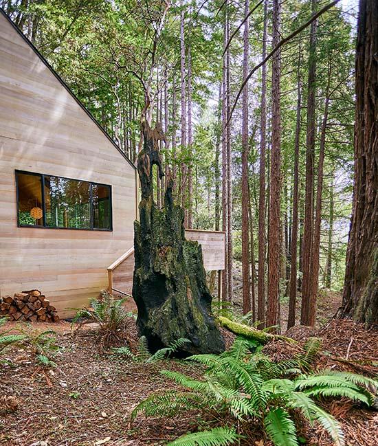 Redwood Rise Outdoor Entrance
