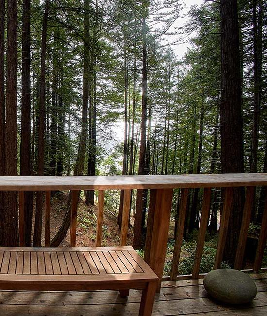 Redwood Rise Outdoor Patio & View 3