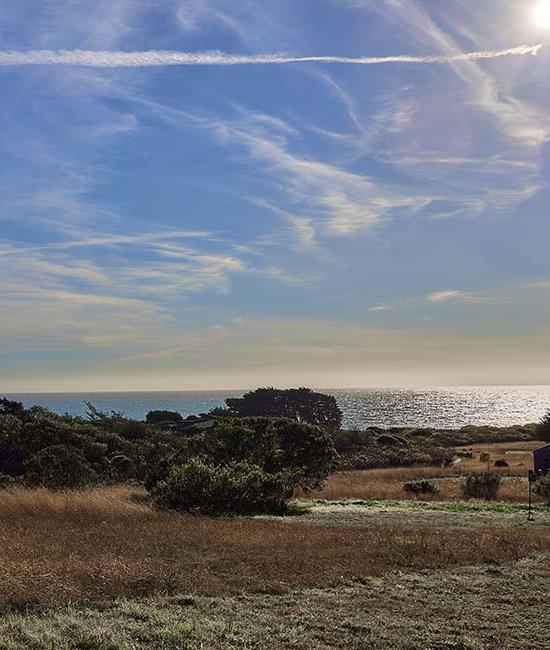 Whalebone Meadow & Ocean View