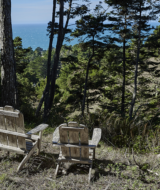 Hines.House-Sea.Ranch-10.26.22-059