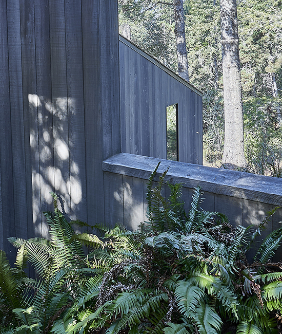 V2-Hines.House-Sea.Ranch-10.26.22-031