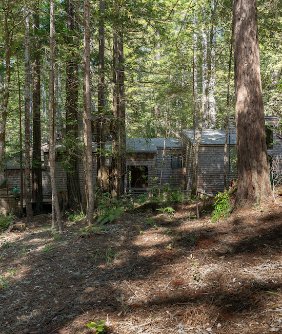 tarp exterior 5