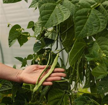 Farm Workshop - Spring Planting 04.04