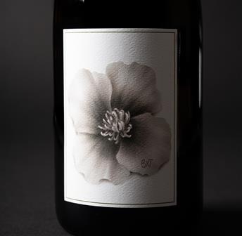 Vino & Vinyl with BXT Wines 06.04
