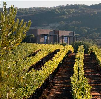 Winemaker Dinner with Continuum Estate