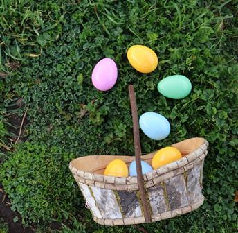Annual Easter Egg Hunt 04.05