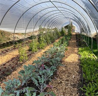 Farm Educational Workshop: Garden Planning 12.7