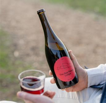 Vino & Vinyl - Picks From The Cellar 09.10