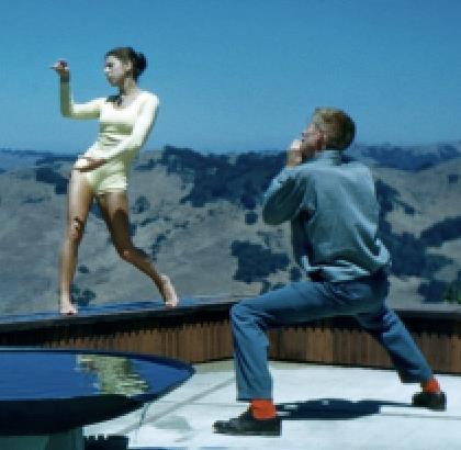 The Choreography of Environments Author Event