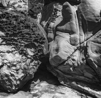 Jane Ivory Artist Exhibition & Reception