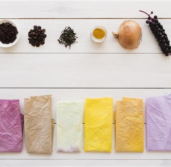 Food Waste Dyeing with Seelie Studio