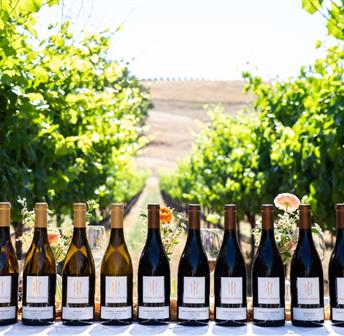 Wine Tasting & Vinyls with Three Sticks Wines